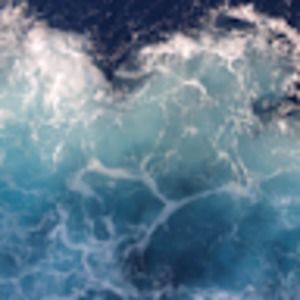 Meet your Posher, Isabella